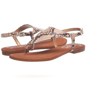 Circus by Sam Edelman NWT Connor Sandals